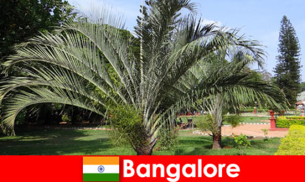 Het aangename klimaat van Bangalore het hele jaar door is een reis waard voor elke buitenlander