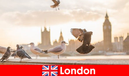 Plaatsen om te bezoeken in Londen voor internationale bezoekers van buitenlandse afkomst