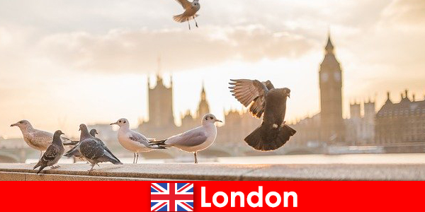 Plaatsen om te bezoeken in Londen voor internationale bezoekers van buitenlandse afkomst