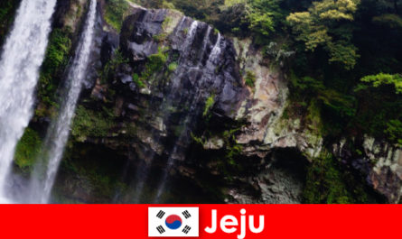 Jeju in Zuid-Korea, het subtropische vulkanische eiland met adembenemende bossen voor buitenlanders