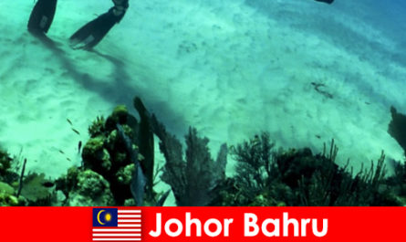 Avontuurlijke activiteiten in Johor Bahru Duiken, klimmen, wandelen en nog veel meer