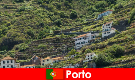Porto vakantiebestemming voor wijnliefhebbers van over de hele wereld