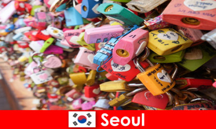 Een ontdekkingsreis voor vreemden in de trendy straten van Seoul in Korea