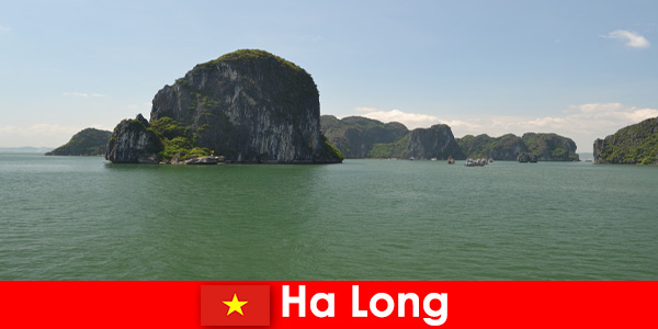 Boottochten voor vakantiegangers naar de rotsreuzen in Ha Long Vietnam