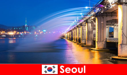 Seoul in Korea is een lichtstad die buitenlanders aantrekt