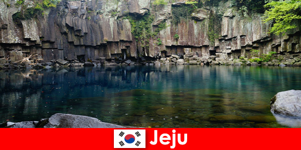 Exotische verre reizen naar het prachtige vulkanische landschap van Jeju, Zuid-Korea