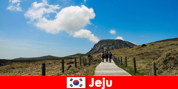 Toeristen wandelen door het fantastische natuurlijke landschap in Jeju, Zuid-Korea