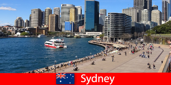 Panoramisch uitzicht over de hele stad Sydney, Australië voor bezoekers van over de hele wereld