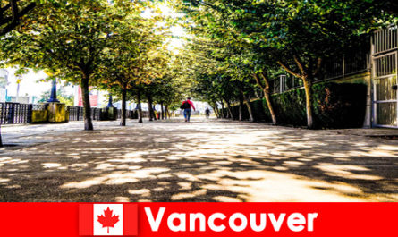 De stadsgidsen van Canada Vancouver begeleiden buitenlandse toeristen naar lokale hoeken