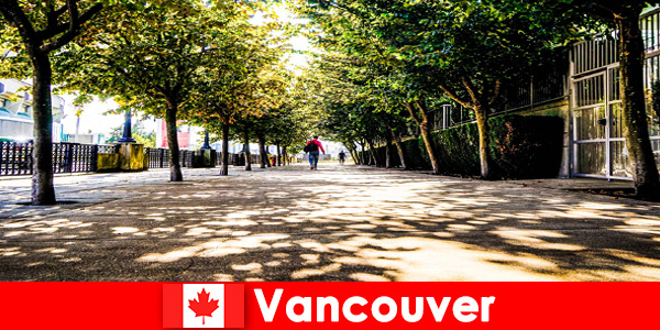 De stadsgidsen van Canada Vancouver begeleiden buitenlandse toeristen naar lokale hoeken