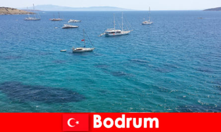 Luxe vakantie voor buitenlanders in de prachtige baaien van Bodrum Turkije
