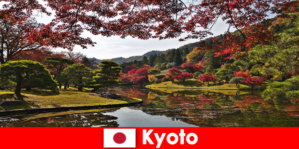 Reis naar het buitenland naar Kyoto, Japan om de beroemde herfstkleuren te zien