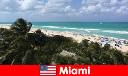 Palmbomen zandige golven wachten op langdurige vakantiegangers in het paradijselijke Miami, Verenigde Staten