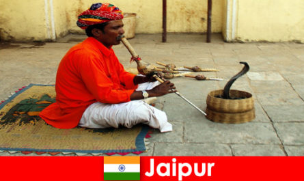 In Jaipur, India, ervaren vakantiegangers slangendansen en entertainment in de drukke straten