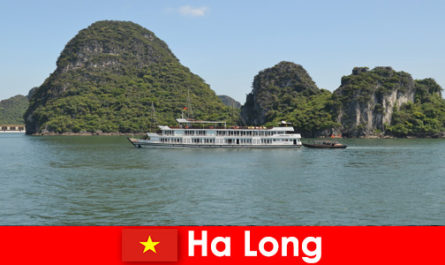 Meerdaagse cruises voor reisgroepen zijn erg populair in Ha Long Vietnam