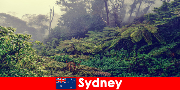 Verkenningsreis naar Sydney Australia in de indrukwekkende wereld van de nationale parken