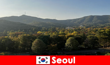 Populaire vakantiepakketten voor groepen naar Seoel Zuid-Korea