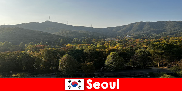 Populaire vakantiepakketten voor groepen naar Seoel Zuid-Korea