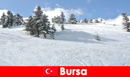 Winterreis voor gezinnen in het grootste skigebied Bursa Turkije