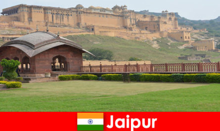 Feel-good reis met de beste service voor vakantiegangers in Jaipur, India