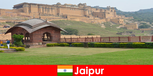 Feel-good reis met de beste service voor vakantiegangers in Jaipur, India