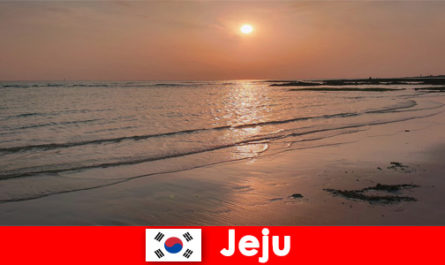 Droombestemming voor bruiloften en gasten uit het buitenland in Jeju, Zuid-Korea