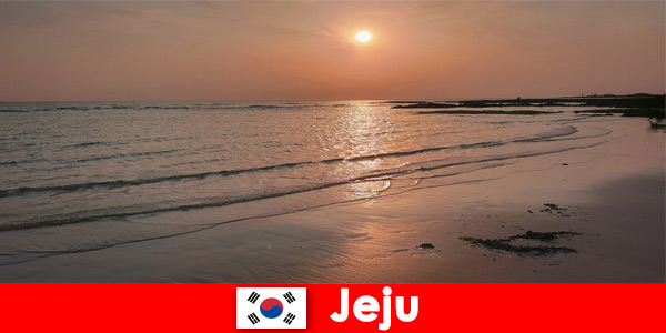 Droombestemming voor bruiloften en gasten uit het buitenland in Jeju, Zuid-Korea