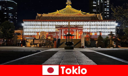Reis naar het buitenland voor gasten naar Japan Ervaar de cultuur van Tokio ter plaatse