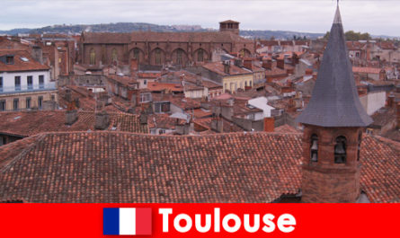 Ervaar charmante bezienswaardigheden in het beeldschone Toulouse, Frankrijk