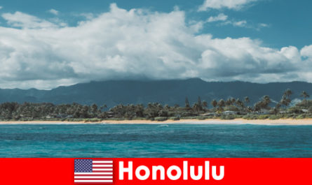 Duikreizen voor sportvakantiegangers in Honolulu Verenigde Staten een unieke ervaring