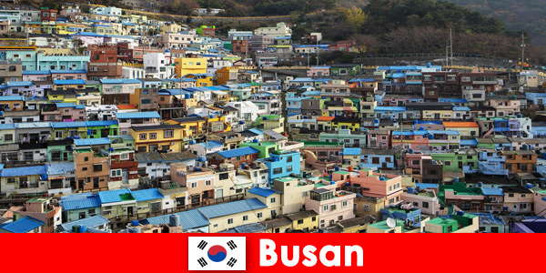 Reis naar het buitenland naar Busan Zuid-Korea met eetcultuur op elke hoek voor weinig geld