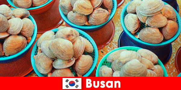 Busan Zuid-Korea heeft dagelijks verse zeevruchten op de markt