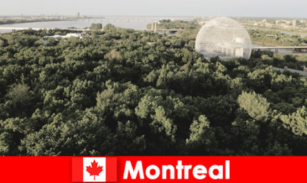 Ontdek de natuur en zeldzame dieren in Montreal, Canada