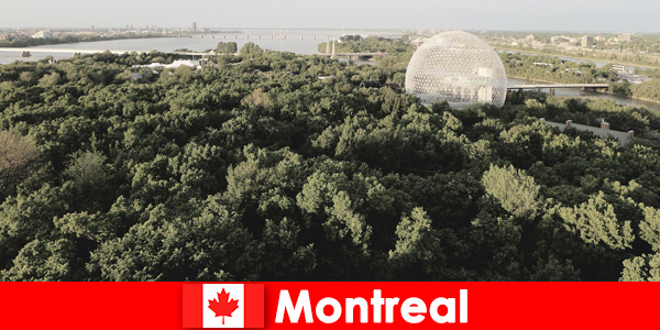 Ontdek de natuur en zeldzame dieren in Montreal, Canada