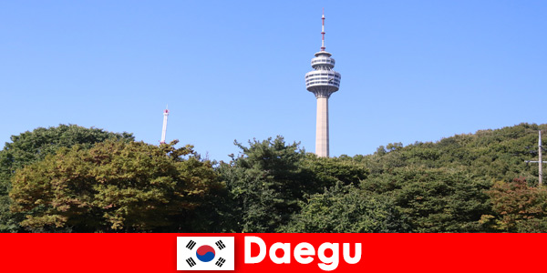 De prachtige stad in Daegu, Zuid-Korea, is dol op toeristen van over de hele wereld