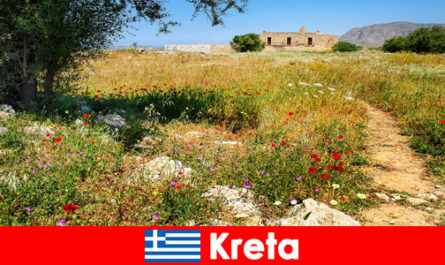 Gezond mediterraan eten met natuurbelevenissen wachten op vakantiegangers op Kreta, Griekenland