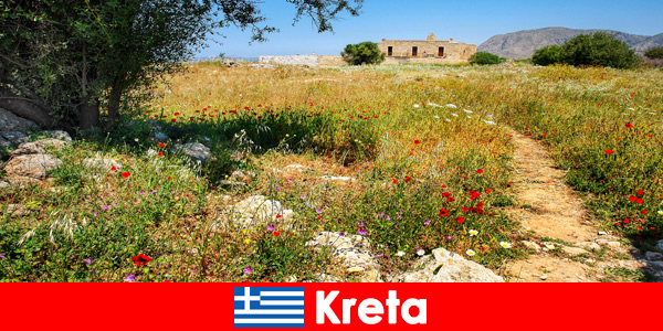 Gezond mediterraan eten met natuurbelevenissen wachten op vakantiegangers op Kreta, Griekenland