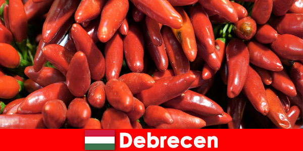 De beroemdste groente die in bijna elk gerecht in Debrecen, Hongarije wordt gevonden