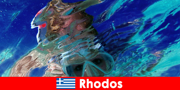 Fascinerende onderwaterwereld om te ontdekken in het vakantieparadijs Rhodos, Griekenland