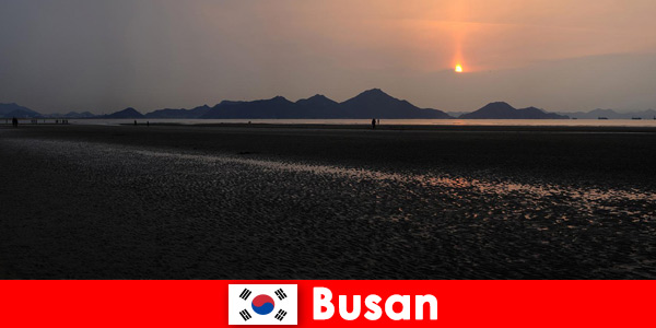 Ervaar de ongerepte natuur en vele activiteiten in Busan, Zuid-Korea