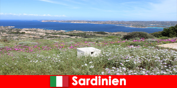 Vakantie in de buitenlucht op Sardinië Italië voor natuurliefhebbers