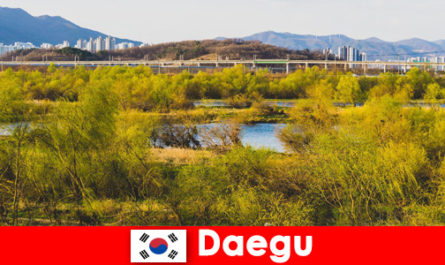 Toptips voor onafhankelijke reizigers in Daegu, Zuid-Korea