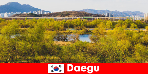 Toptips voor onafhankelijke reizigers in Daegu, Zuid-Korea