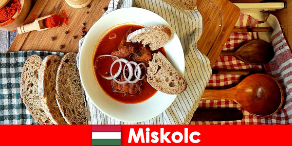 Gasten in Miskolc Hongarije genieten van lokale plaatsen en cultuur