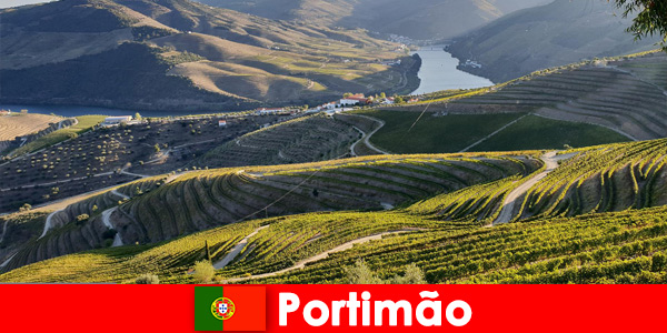 Gasten zijn dol op de wijnproeverijen en lekkernijen op de bergen van Portimão Portugal