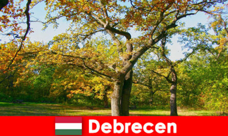 Kuurvakantie voor gepensioneerden in Debrecen Hongarije met veel hart