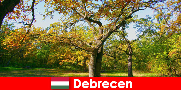 Kuurvakantie voor gepensioneerden in Debrecen Hongarije met veel hart