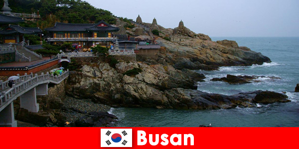 Busan Zuid-Korea een stad om verliefd op te worden