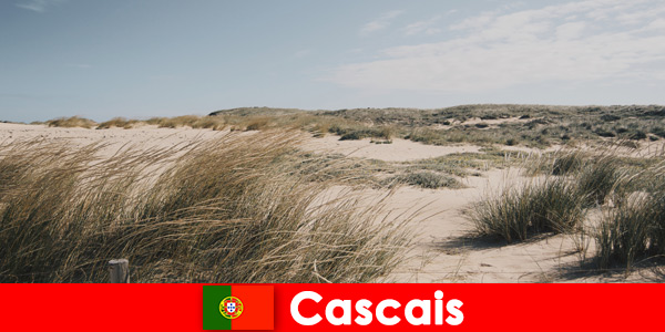 Wind, zon en zee bieden een fantastische rust in Cascais Portugal