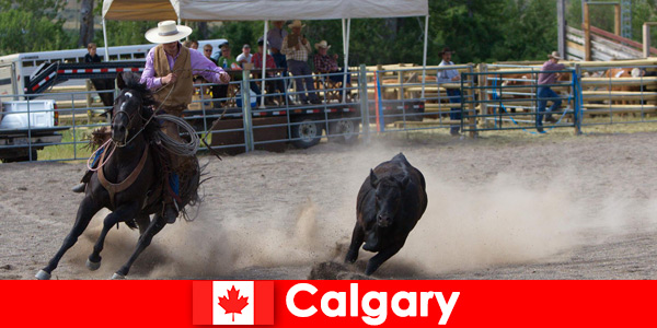 Locals en gasten van over de hele wereld houden van de rodeo's in Calgary, Canada
